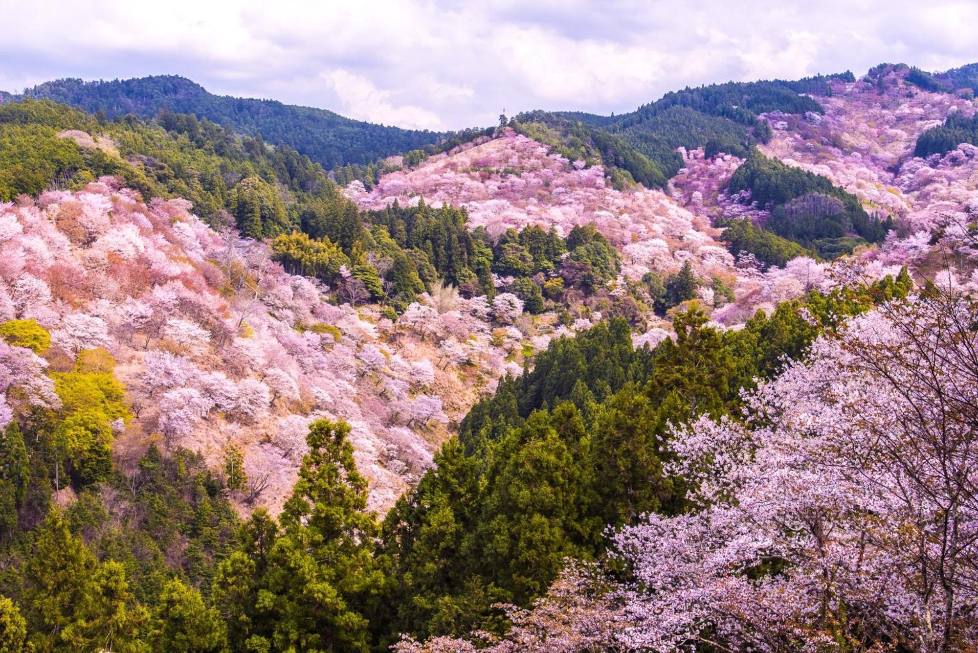 Jw Marriott Hotel Nara Dış mekan fotoğraf